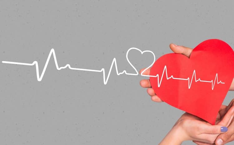 Best Cardiologist in Indore