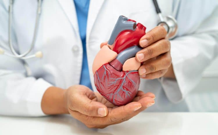 Dr Sarita Rao - Best Heart Specialist in Indore