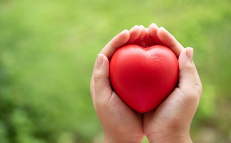 Best heart specialist in Indore